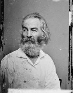 76_whitman
