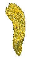 Mapleseed1_1