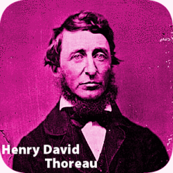 20070712_thoreau
