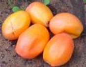 Passion_fruit