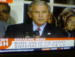 Bush_league